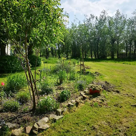 Tatil Evi Sweet Tiny House *